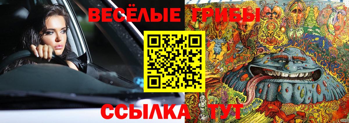 Галлюциногенные грибы Psilocybine cubensis Ачинск